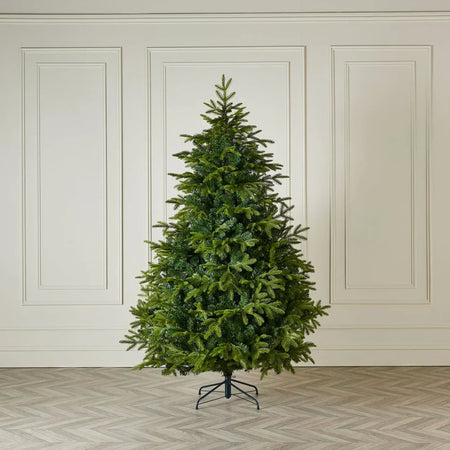 Albero di Natale in abete verde Brewer